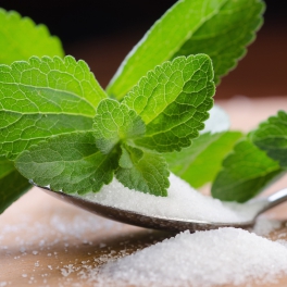 stevia rebaudiana - the sugar plant